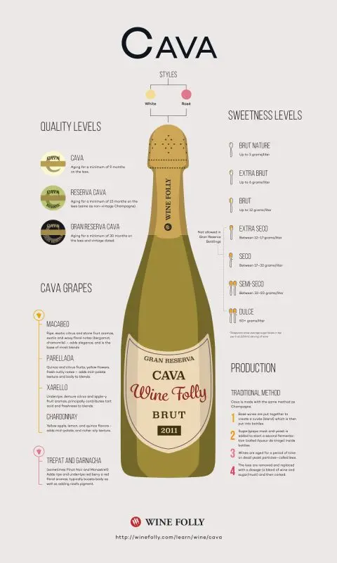 Sparkling wine Kava: what is it, history and types