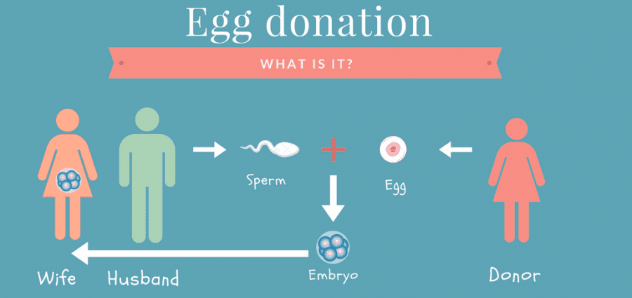 Sperma ja munarakkude annetamine: kuidas see toimib?