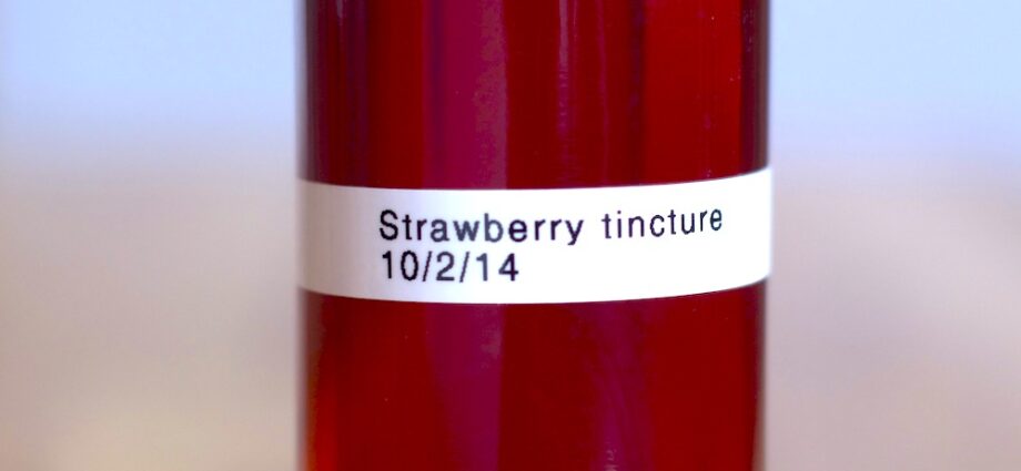 Strawberry tincture at home