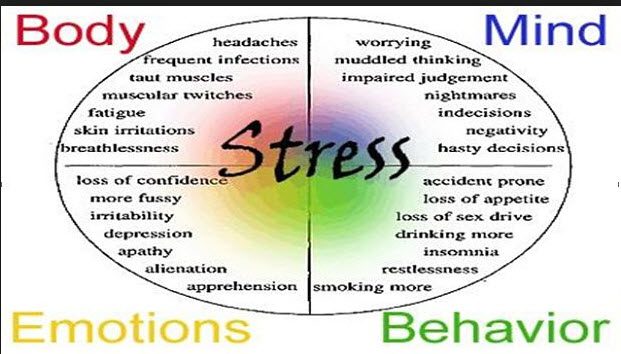 Stress: how to get out of the vicious circle?