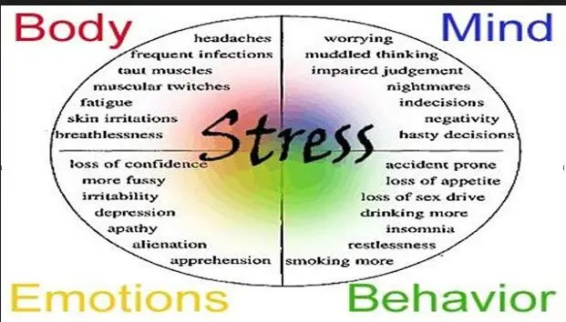 Stress: how to get out of the vicious circle?