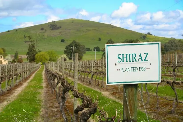 Syrah (Shiraz) &#8211; red wine from France to Australia