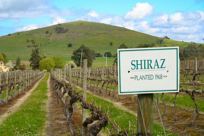 Syrah (Shiraz) &#8211; red wine from France to Australia