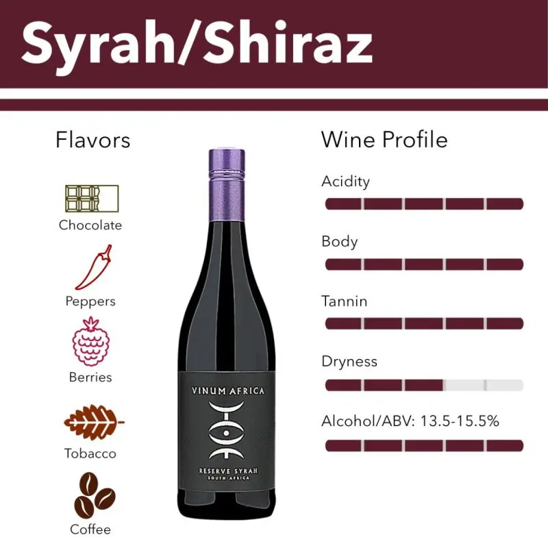 Syrah wine: where it is made, taste, how and with what to drink + 5 facts