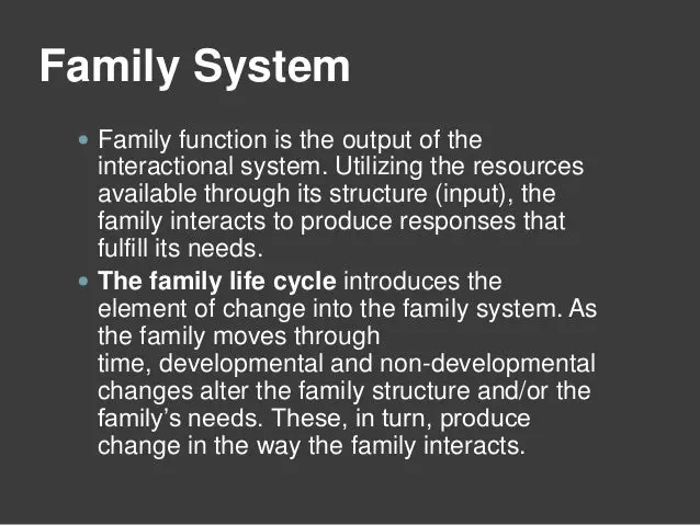 Systemic family therapy &#8211; what is it?