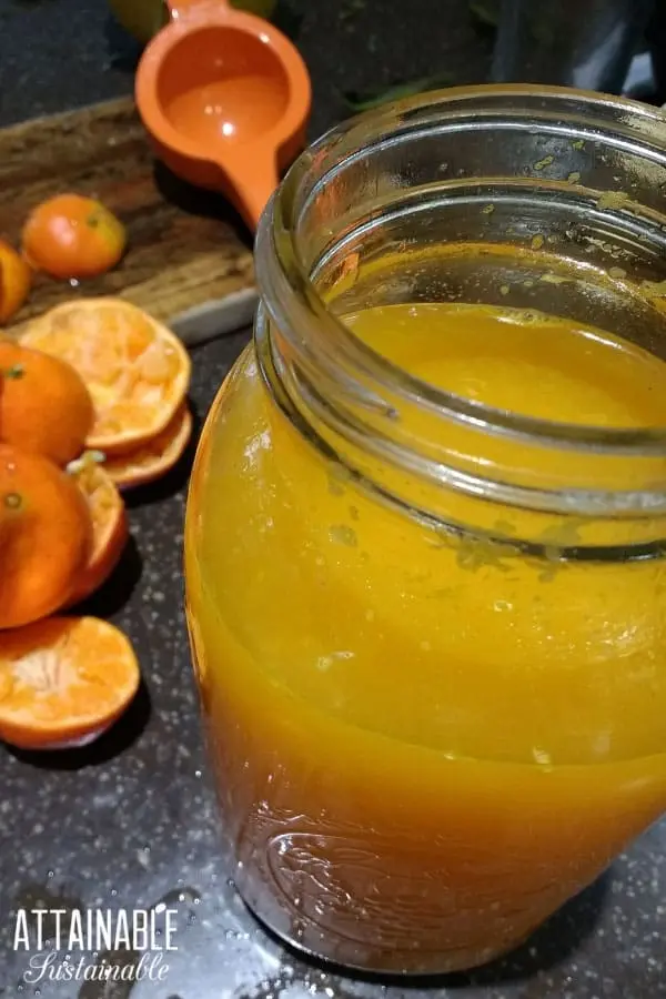 Tangerine syrup: 2 recipes at home