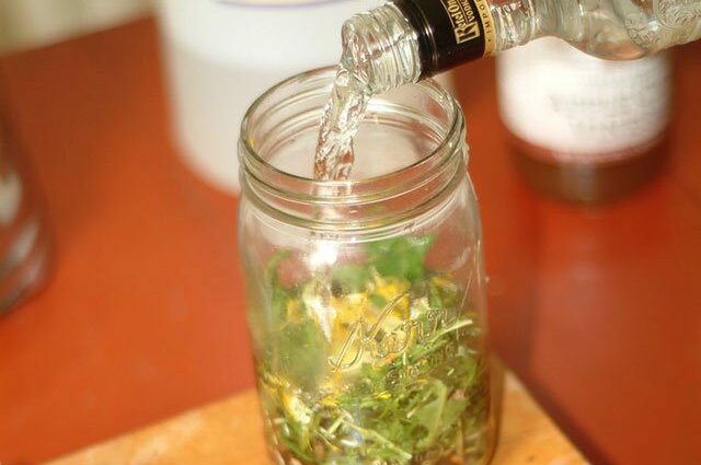 Tarragon tincture on vodka, alcohol, moonshine and rum &#8211; 5 recipes for every taste