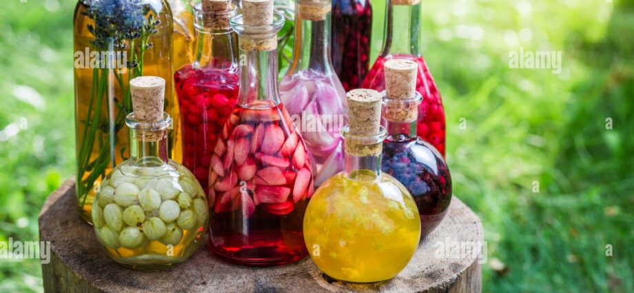 Technology for making homemade viburnum liqueur