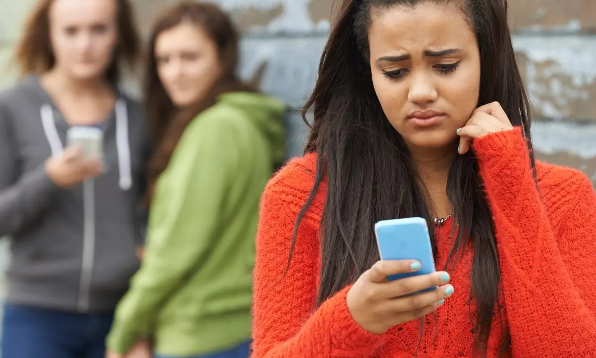 Teen humiliates friends online
