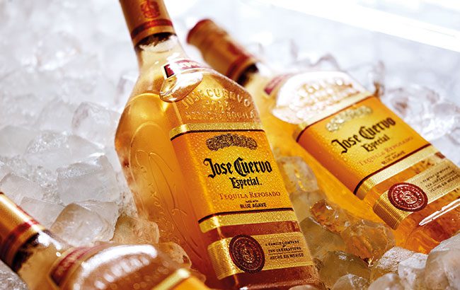 Tequila Jose Cuervo: a brief history and overview of the species