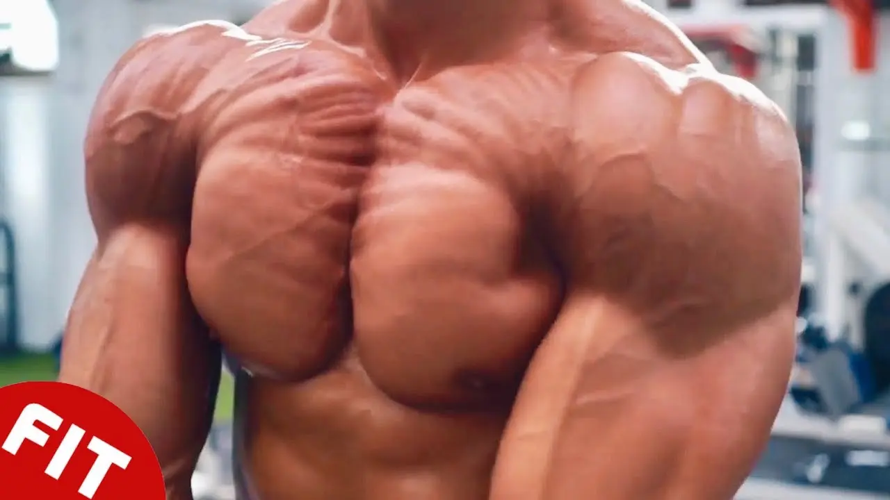 The best chest in the world