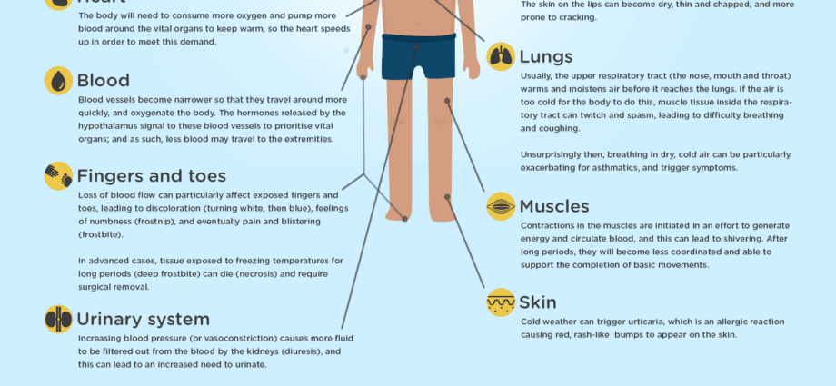 The body accumulates cold: how it happens and what to do