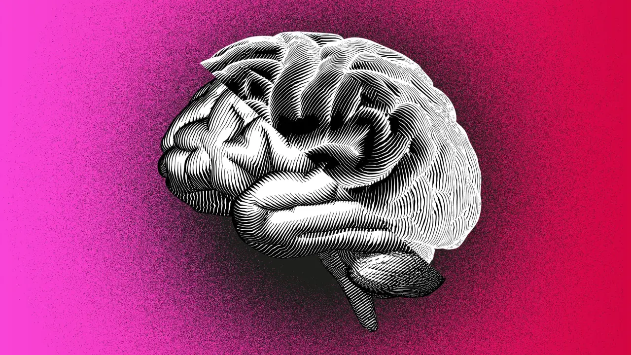 The brain is programmed to love