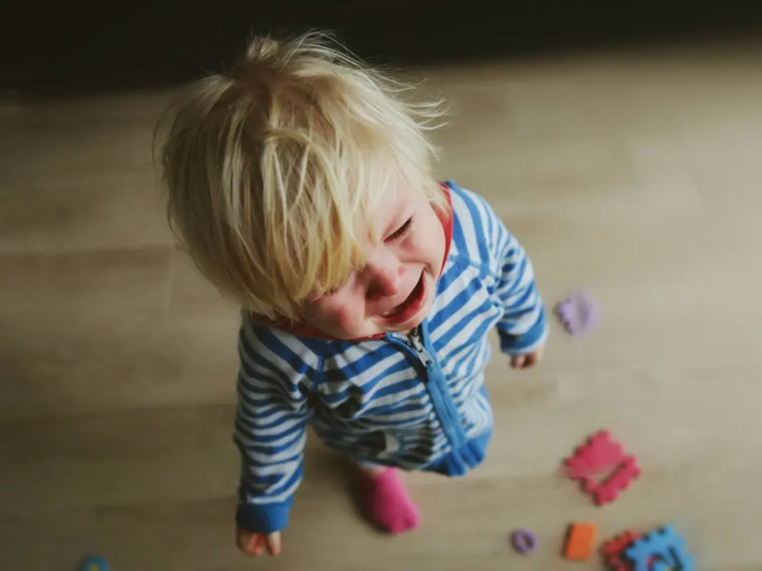 The child has a tantrum &#8211; what should parents do?