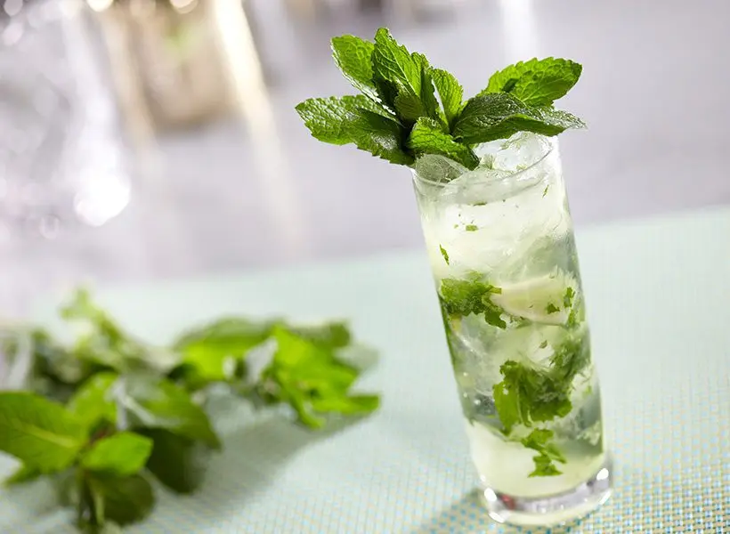 The correct recipe for Mojito with vodka