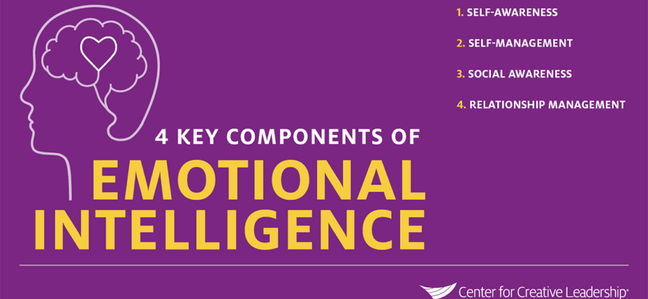 The emotional intelligence of a leader. How to Develop and Apply by Peter Salovey and David R. Caruso