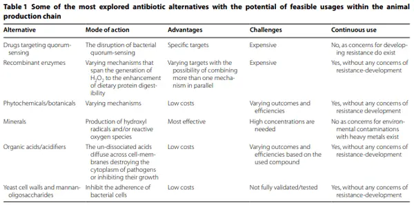 The feasibility of using antibiotics for mash