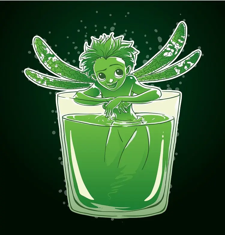 The history of absinthe &#8211; the path from fairy to witch and back