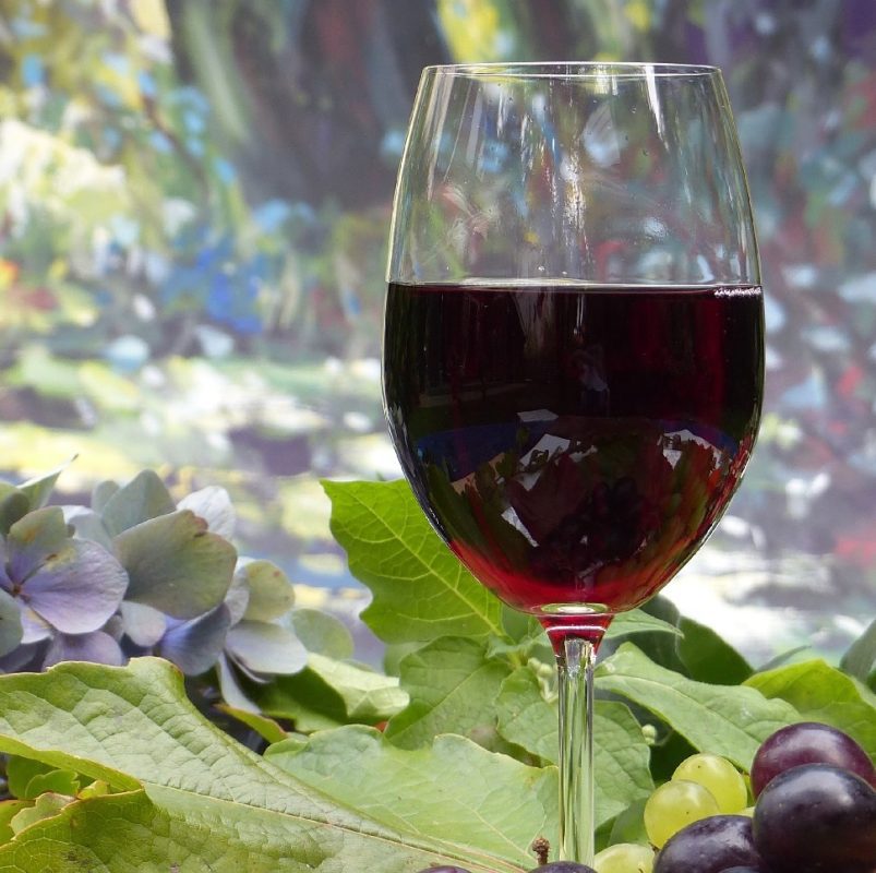 The influence of tannins on the taste of wine