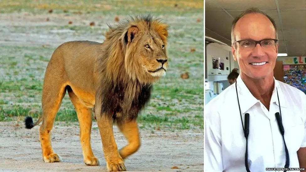 The Killing of Cecil the Lion: Why Our Righteous Anger Is Dangerous