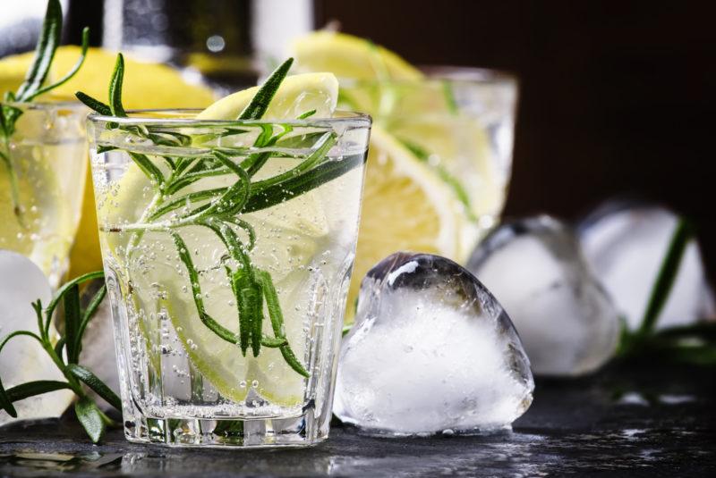 The Perfect Gin and Tonic (G&#038;T) &#8211; Cocktail Secrets