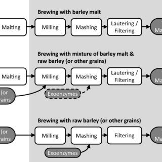 The role of unmalted raw materials (malted) in brewing