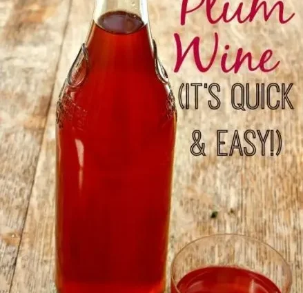 The simplest plum wine recipe that any novice winemaker can do