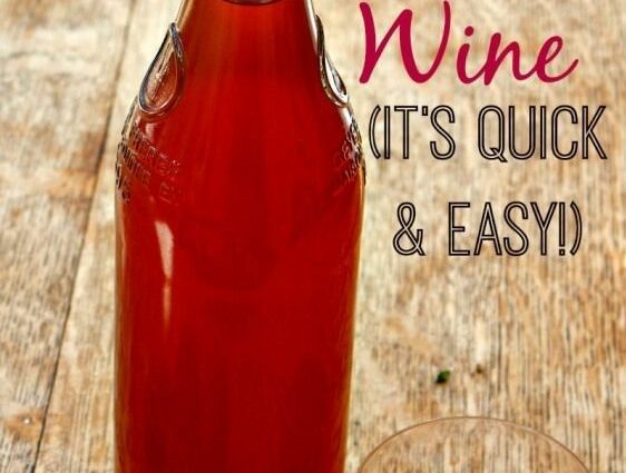 The simplest plum wine recipe that any novice winemaker can do