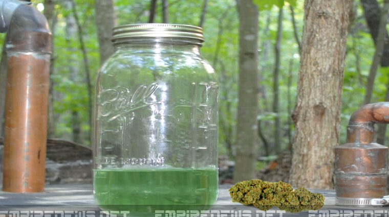 The technology of infusion of moonshine on bark and oak wood