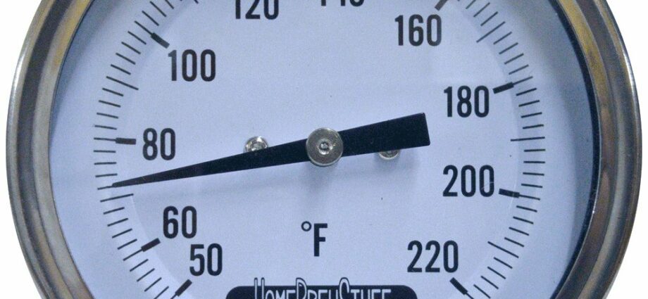 Thermometer for moonshine: types and which one is better to buy