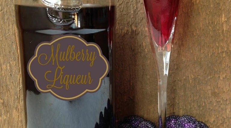 Three homemade mulberry liqueur recipes