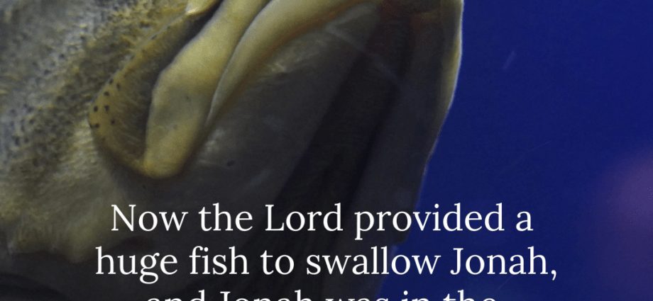 Three reasons to read &#8220;The fish swallowed them &#8230;&#8221;