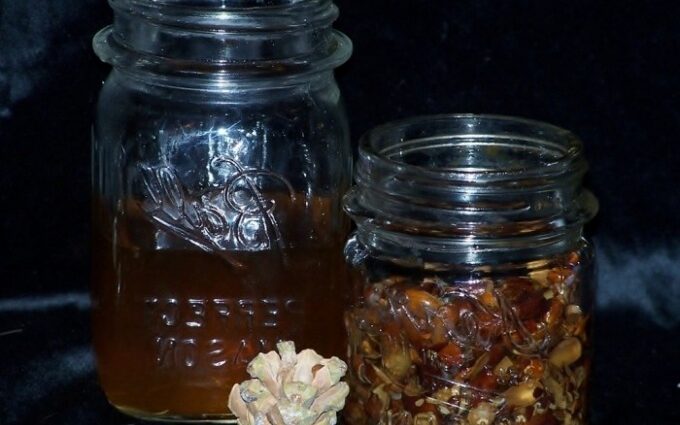 Tincture on pine nuts: 6 recipes at home