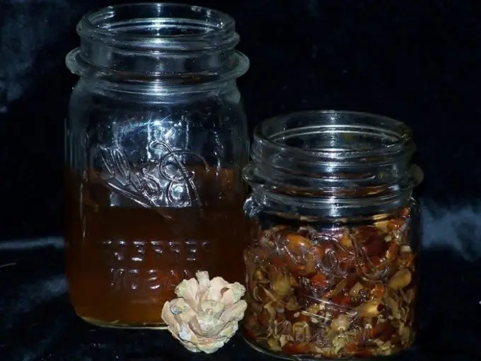 Tincture on pine nuts: 6 recipes at home