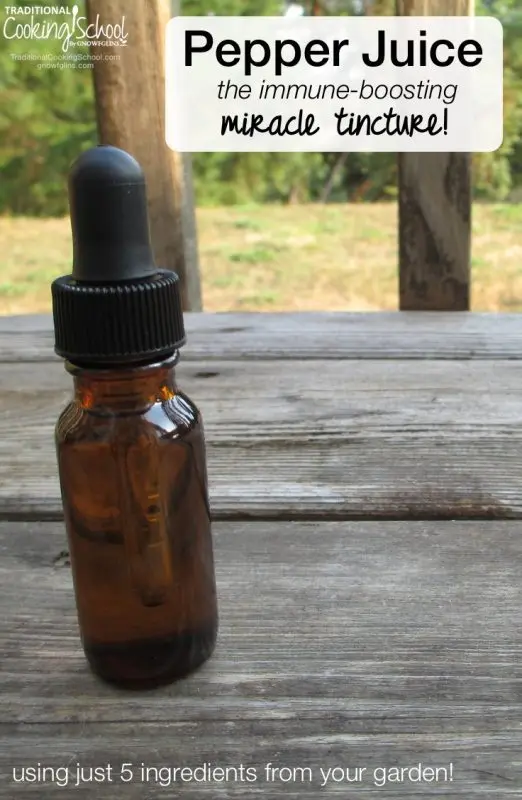 Tinctures from carrots, peppers, beets and other vegetables &#8211; 4 recipes