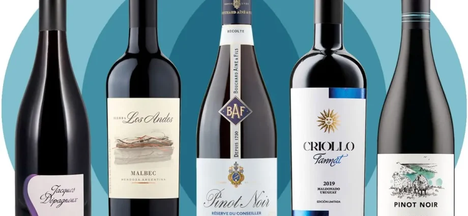 TOP 5 best wines for summer no more than 1000 rubles