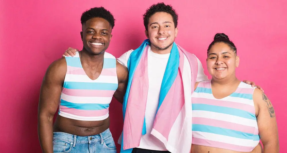 Transsexuals: reasons for interest and embarrassment