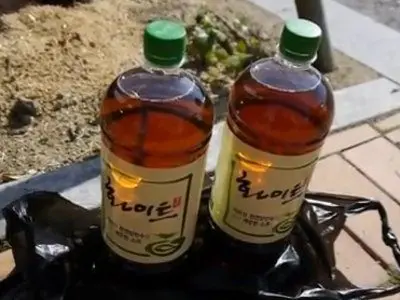 Tsongsul is a Korean &#8220;wine&#8221; with feces