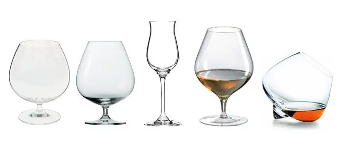 Types and forms of cognac glasses