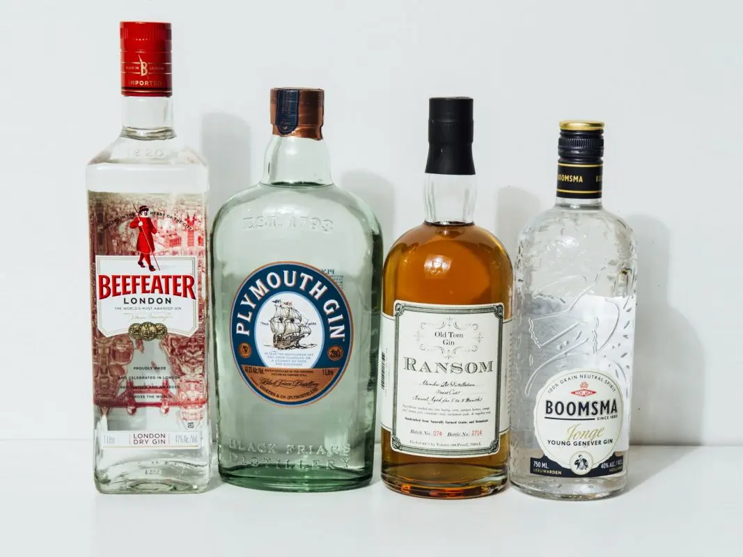 Types of gin and drink strength