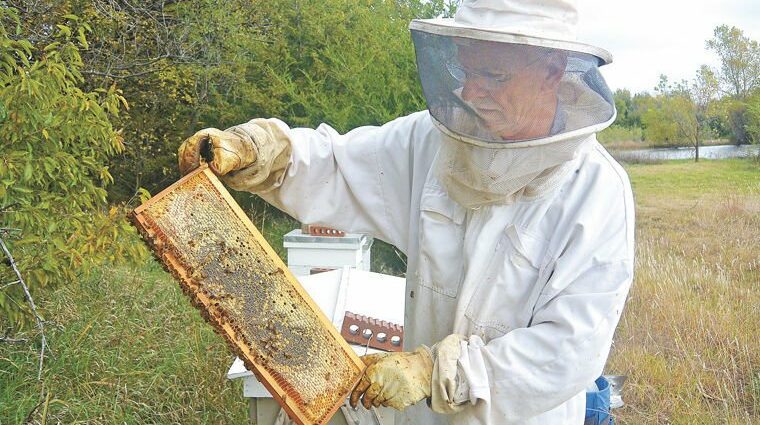 Uncle has his own apiary, makes a noble mead, took his recipe &#8211; the result is a chic, classic drink and without chemicals, like in a store