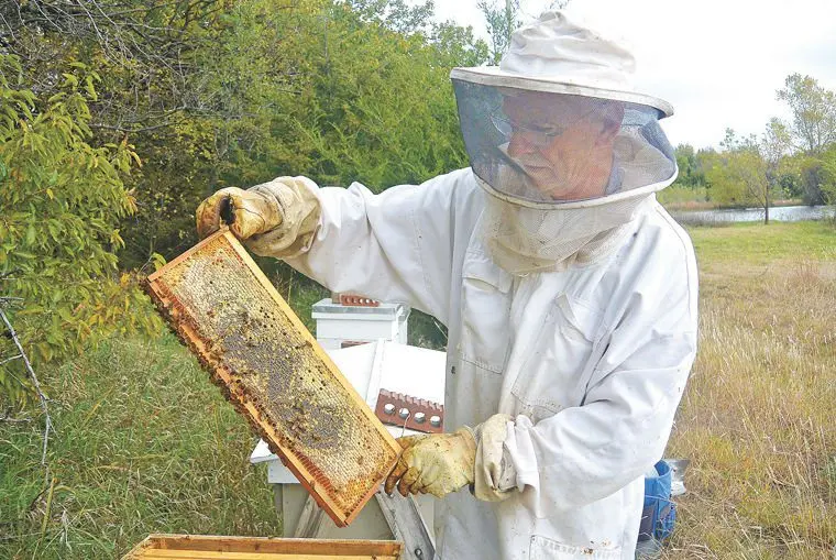 Uncle has his own apiary, makes a noble mead, took his recipe &#8211; the result is a chic, classic drink and without chemicals, like in a store