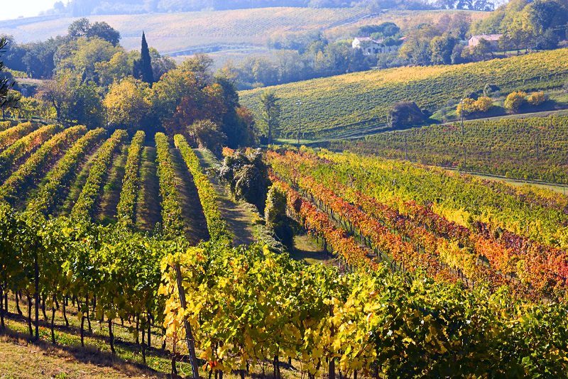 Valpolicella &#8211; Italian wines with a recognizable character