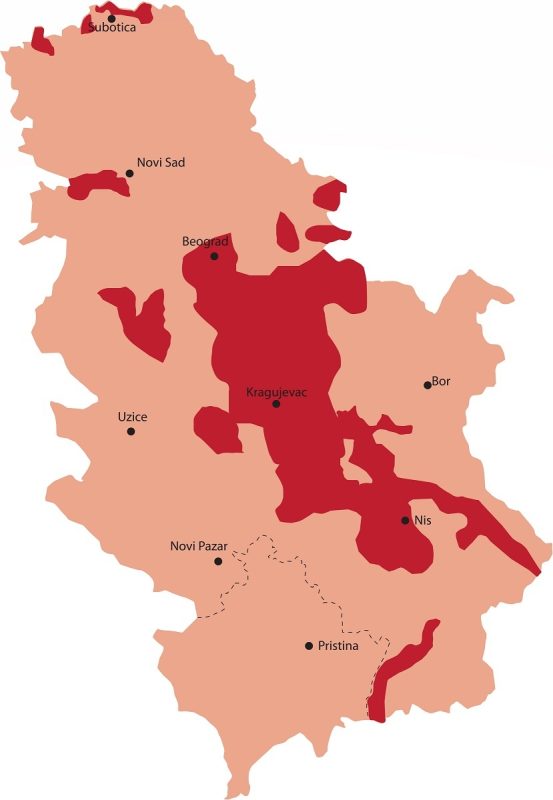 Varieties and characteristics of Serbian wines