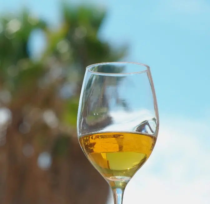 Vermentino (Vermentino) &#8211; a promising Italian white wine