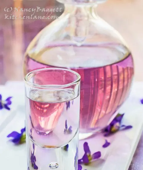 Violet liqueur: 3 recipes at home