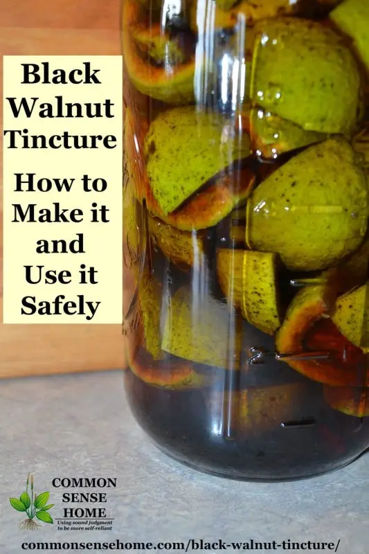 Walnut tincture and liqueur: 5 recipes at home