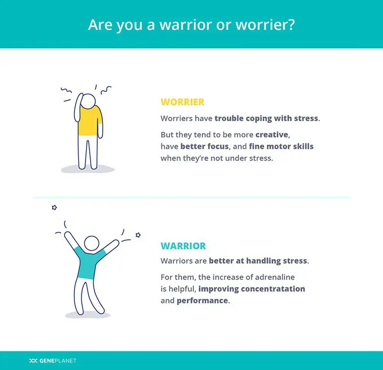 Warriors or scientists: how genes and stress resistance are connected