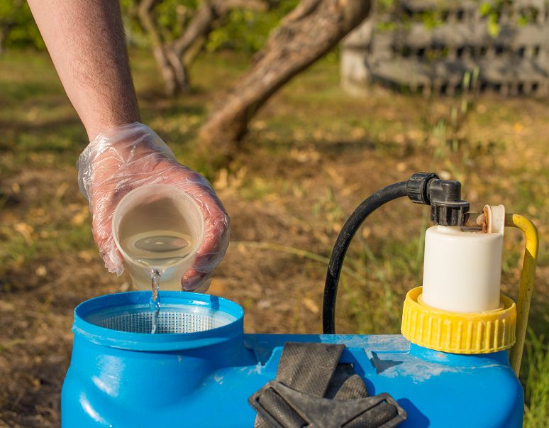 Watering and processing plants with vodka