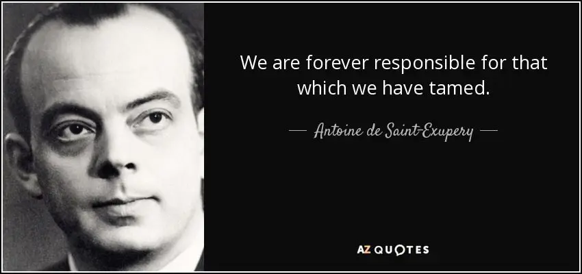 We are responsible for those we have tamed: from taking care of ourselves to taking care of pets